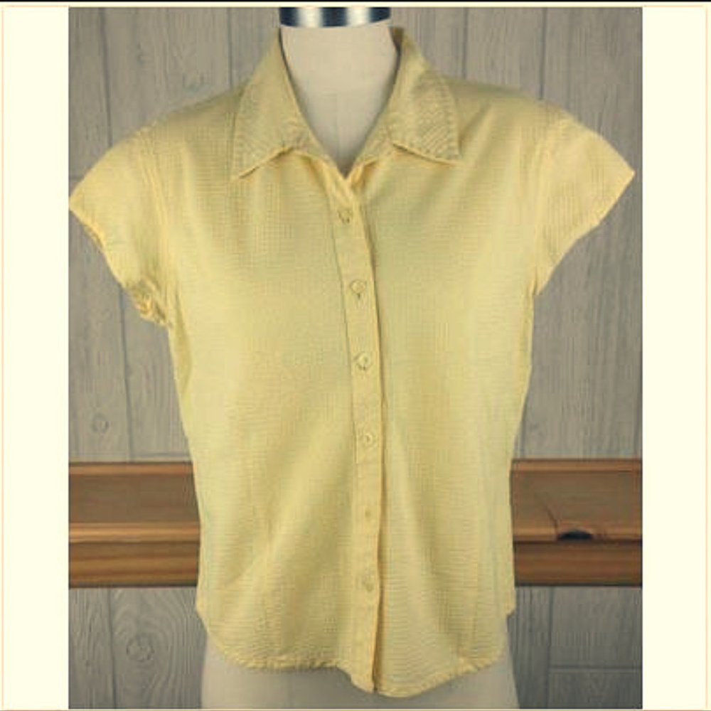 Yellow + White Check Cap Sleeve Button Up Collared Top ~ Tangents Junior's Large